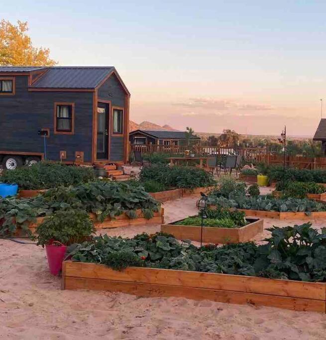 Atlantis Garden Tiny Home Hildale Eksteriør billede