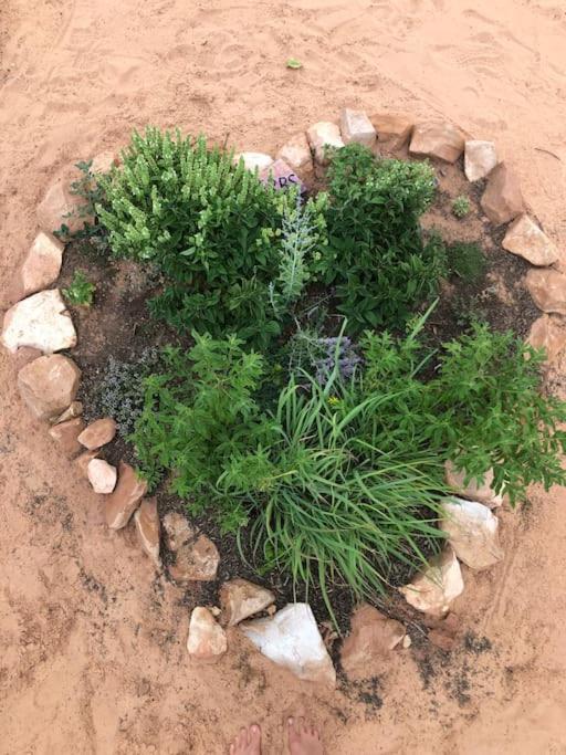 Atlantis Garden Tiny Home Hildale Eksteriør billede